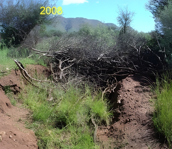 gully restoration in namibia 2008