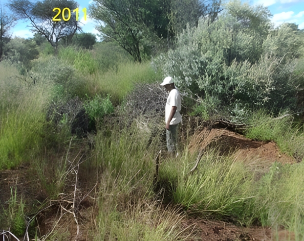 gully restoration in namibia 2011