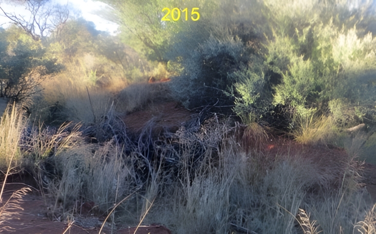 gully restoration in namibia 2015