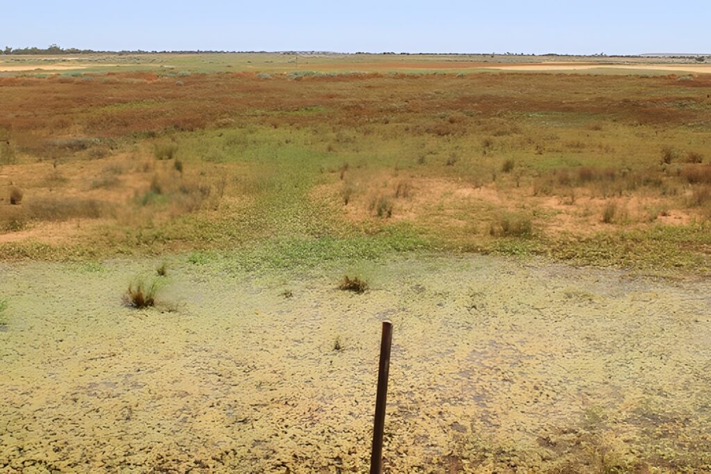 emu south austalia gully repair 2017