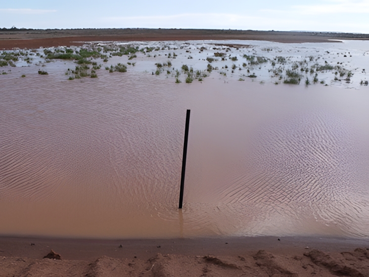 emu south australia gully repair 2010