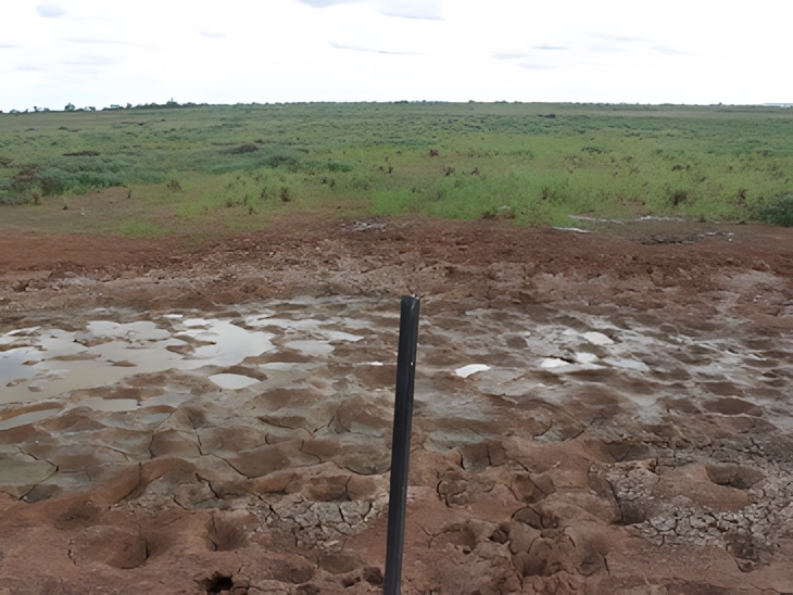 emu south australia gully repair 2011