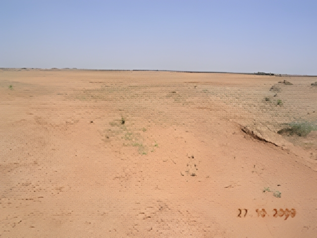 emu south autralia gully repair 2009